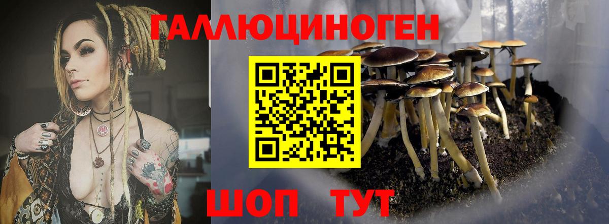 Псилоцибиновые грибы прущие грибы  Вход с VPN  Борзя  Псилоцибиновые грибы ЛСД 