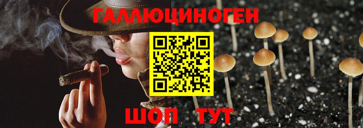 Псилоцибиновые грибы GOLDEN TEACHER Борзя